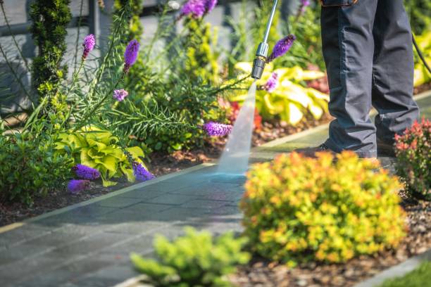 Best Fence Cleaning  in East Porterville, CA